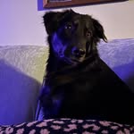 Jacob Stocker - @jacob_stocker_18 - Instagram