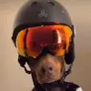 jacobstoffel - @jstoffel1 - TikTok