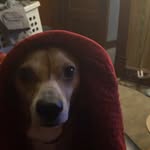 Jacob Stoller - @jjstoller2005 - Instagram