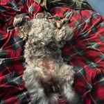 Jacob Stowell - @jacobstowell99 - Instagram