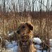 Jacob Strait - Facebook