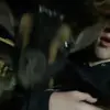 Jacob Stratman - @yourdad6999840 - TikTok