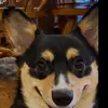 jacobstratman - @jacobstratman - TikTok