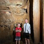 Jacob Stratton - @amishmadtree - Instagram