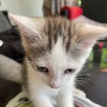 Jacob streitenberger - @jacobstreitenberger - Instagram