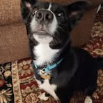 Jacob Strohmeyer - Facebook