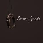 Jacob Sturm - @sturmjacob - Instagram