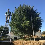Jacob Sutter - @jacobsutter3 - Instagram