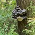 Jacob Talbert - Facebook