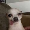 Ur Mom - @jacobtallon2.0 - TikTok