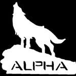 Jacob Tedder - @alpha_fitness_and_apparel - Instagram