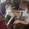 jacob.tharp - @jacob.tharp8 - TikTok