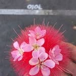 jacob thelen - @thelen.jacob - Instagram