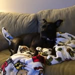 Jacob Thelen - @thelen_jacob - Instagram