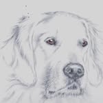 Jacob Tobin - @tobin8875 - Instagram