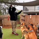 Jacob | Dog Trainer - @jacobcaninecoach - Instagram