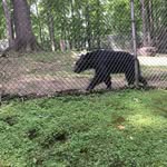 Jacob Treadway - @0331.222 - Instagram