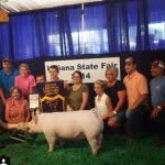 Jacob Treadway - @treadway_show_pigs - Instagram