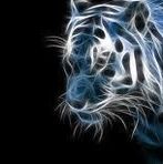 Jacob Trice - Facebook