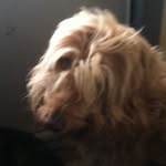 Jacob Trimble - @stuffandyhingslikeaboss - Instagram
