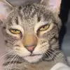 Jacob - @jacob_urbina - TikTok