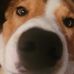 Jacob Vang - Facebook