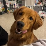Jacob Viau - @jacob.viau - Instagram