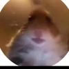 Jacob Vu - @jacobvu12341 - TikTok
