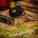 Jacob Ware - @king_bertie_9 - Instagram