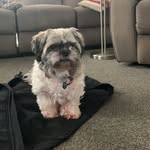 Jacob Warrington - @jacob_warrington07 - Instagram