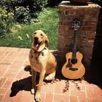 Jacob Warrington - @jacobstrums - Instagram