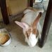 Jacob Wayne - Facebook