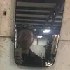 Jacob Webb36 - @jacobwebb367 - TikTok