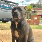 Jacob Weedon - @albertandjacob1687 - Instagram