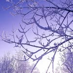 Jacob Weinberg - @yacob_wizenberg_2 - Instagram