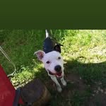 Jacob Weldon - @jacobweldon8 - Instagram