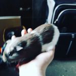 Jacob wentz - @jacobwentz278 - Instagram