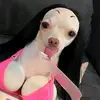jacob wentz - @jacobwentz223 - TikTok