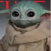 jacob - @jacobwentzel - TikTok