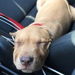 Jacob Westerman - @jwest941 - Instagram