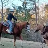 jacob wheat - @lilwheat0418 - TikTok