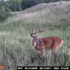 Jacob Wheeling - @jacob.wheeling - TikTok
