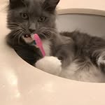 Jacob Whidden - @glue_eater22 - Instagram
