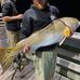 Jacob Whitehurst - Facebook