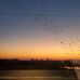 Jake Whitmer - Facebook
