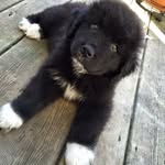 Jacob Whitton - @j.whittty - Instagram
