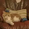 jacobwhitton68 - @jacobwhitton68 - TikTok