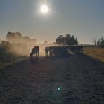 Jake Wickham - Facebook