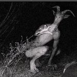 Jacob - @jacob_wigley234 - Instagram