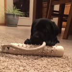 @jacobwildschuetz - Instagram